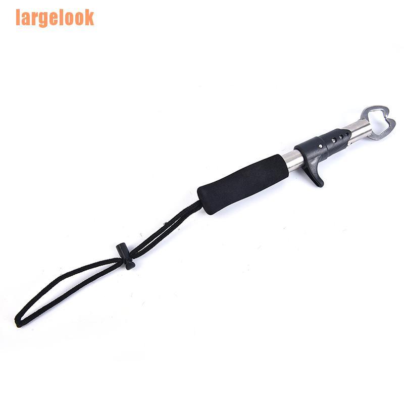 1 Kẹp Cá Đặc Biệt