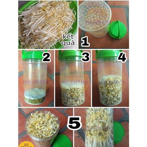 Đỗ xanh chuyên làm giá