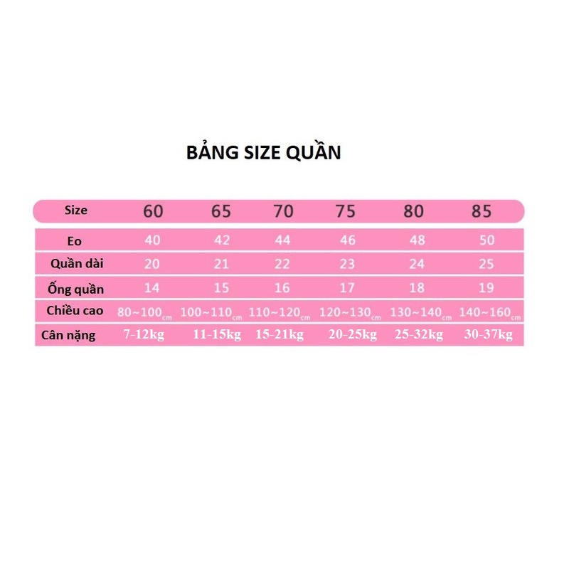 HLQ093 Set 5 quần chip cotton công chúa elsa bé gái hàng nhập 1-12Y - giá 170k