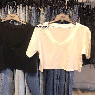 ÁO THUN BASIC COTTON V