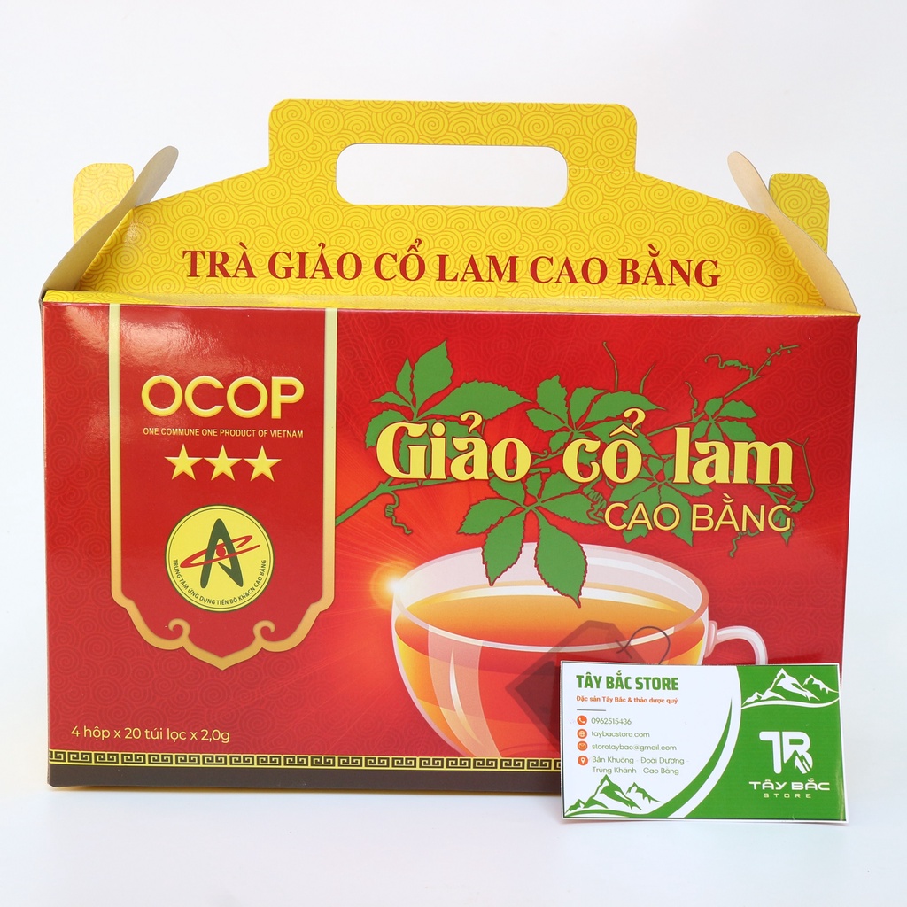 Trà Giảo Cổ Lam Túi Lọc Chuẩn OCOP Cao Bằng Dược Liệu Sạch Giảo Cổ Lam 5 Lá