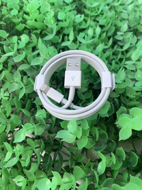 COMBO CỦ SẠC IPAD 12W ZIN SẠC NHANH IPHONE ( LIKENEW) CHÍNH HÃNG APPLE | BigBuy360 - bigbuy360.vn