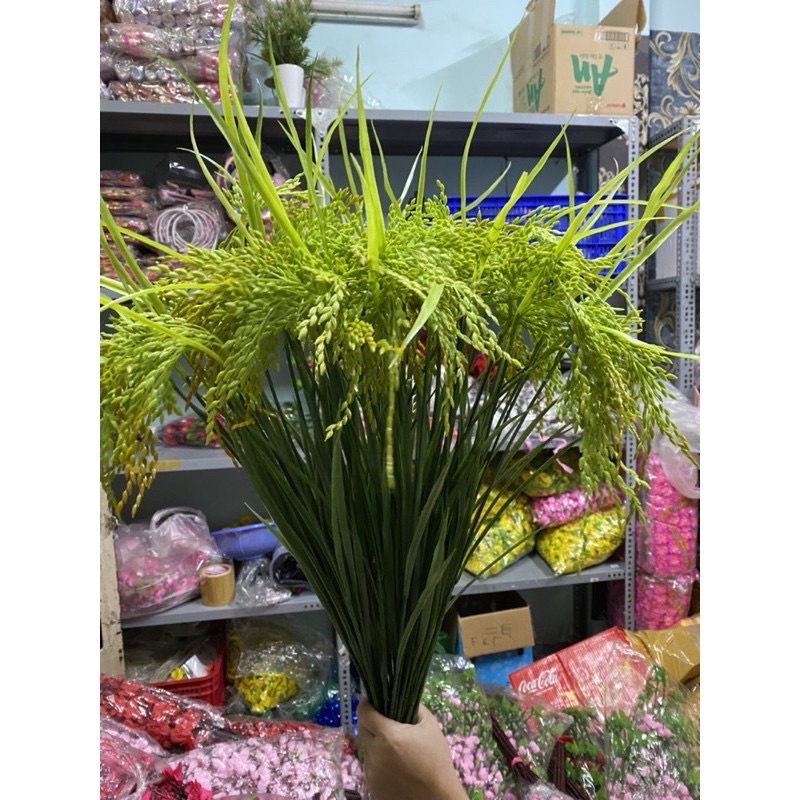Cành lúa nhân tạo 2 màu vàng, xanh