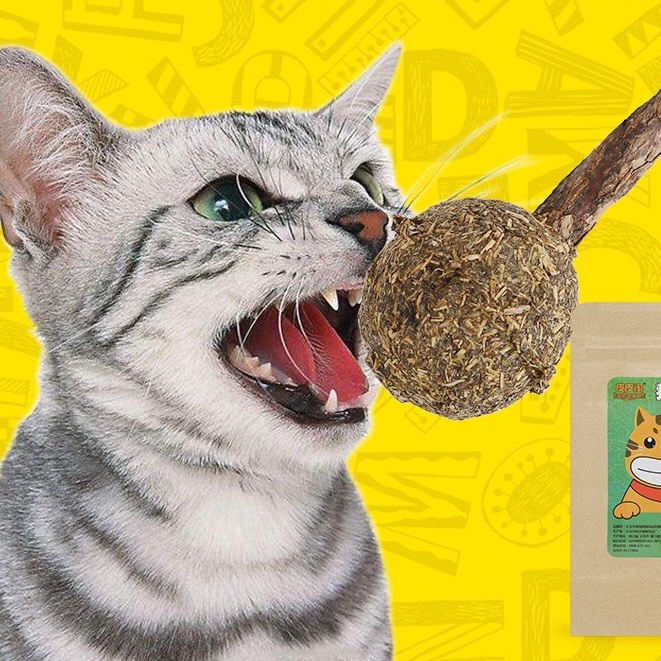 Catnip cỏ bạc hà cho Mèo hình que kẹo - Giúp thư giãn giảm stress