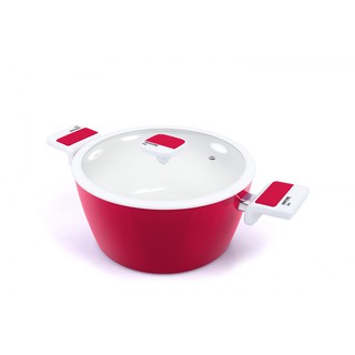 NỒI MONETA PANTONE 24CM