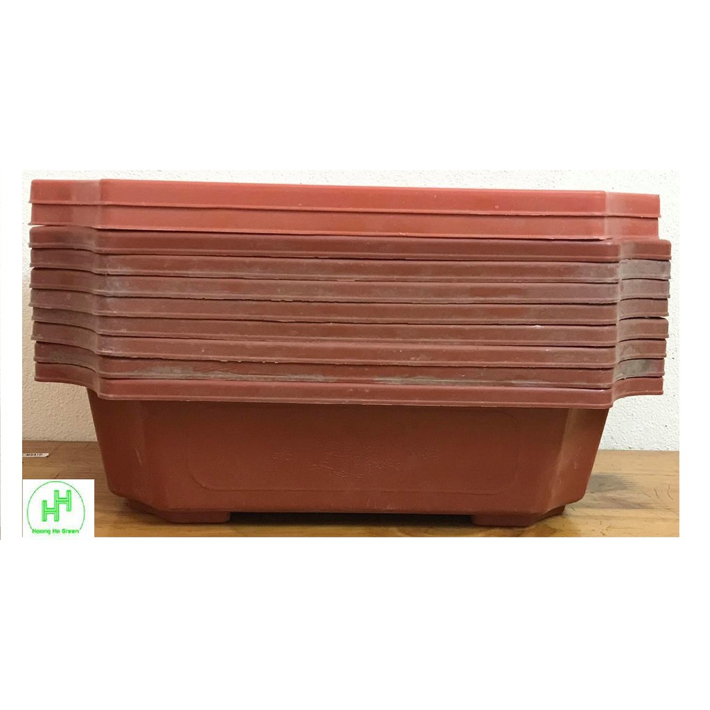 Combo 10 Chậu Nhựa Trồng Cây Mini Hình Chữ Nhật Màu Nâu Siêu Đẹp Kích Thước 28x20x8 Cm