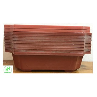 Combo 10 Chậu Nhựa Trồng Cây Mini Hình Chữ Nhật Màu Nâu Siêu Đẹp Kích Thước 28x20x8 Cm