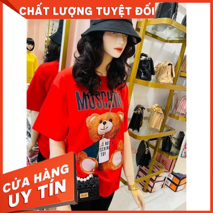 Áo thun in hình gấu vàng siêu đẹp / áo phông in hình gấu vàng hot trend 2021