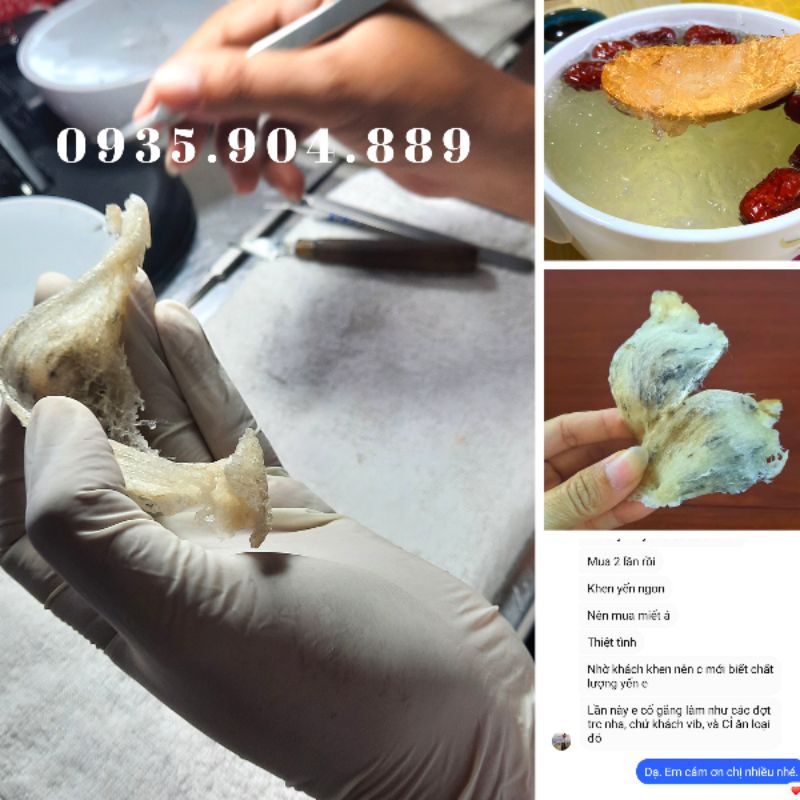 10gr Tổ yến thô Nha Trang Khánh Hòa nguyên chất - Tổ yến vỡ cạnh, bể nhẹ - Tặng kèm đồ chưng