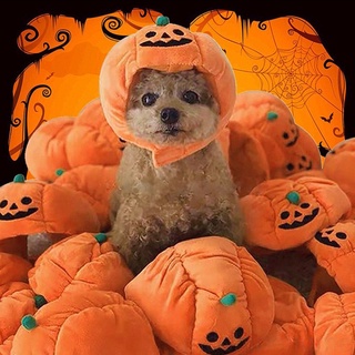 Mũ cosplay trái bí ngô halloween cho thú cưng chó mèo