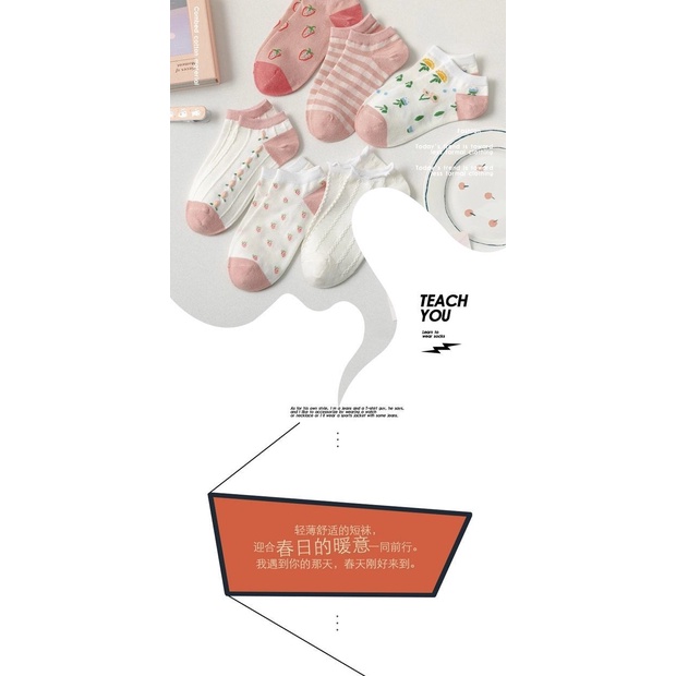 Tất cotton thời trang xuân hè dành cho nữ