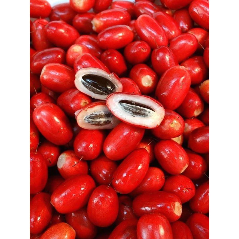 Hạt giống thần kì