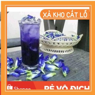 50 hạt giống hoa đậu biếc