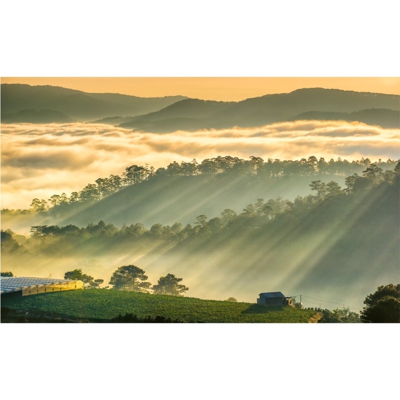 CÀ PHÊ Arabica-MĂNG ĐEN NGUYÊN CHẤT-TỪ NGƯỜI NÔNG DÂN HẠNH PHÚC [QUÀ TẶNG Muối tắm Pơ Lang tự nhiên-đẹp thuần khiế