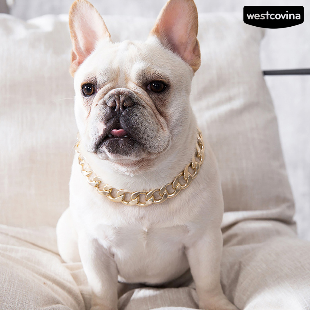 Vòng Cổ Bằng Nhựa Có Thể Điều Chỉnh Cho Chó Pitbull