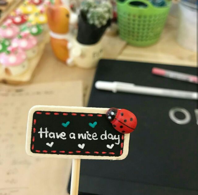 10 con bọ rùa mini 🐞🐞 - Phụ kiện trang trí sen đá, tiểu cảnh Terrarium