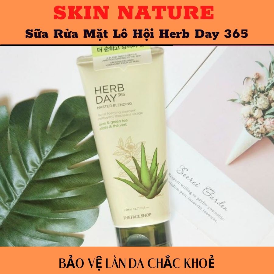 Sữa Rửa Mặt Nha Đam Tạo Bọt THEFACESHOP HERB DAY 365 - 170ml