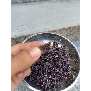 200 Kẹp bướm cặp cố định thân cây hoa phong lan phi điệp hay giả hạc hồ điệp và các loại hoa lan khác