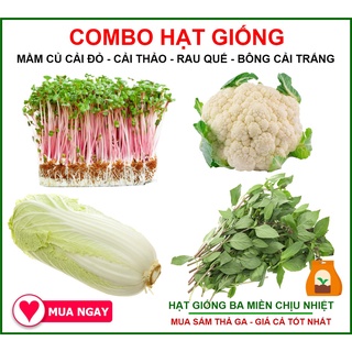 Combo 4 Loại Hạt Giống Mầm Củ Cải Đỏ, Cải Thảo, Quế, Bông Cải Trắng