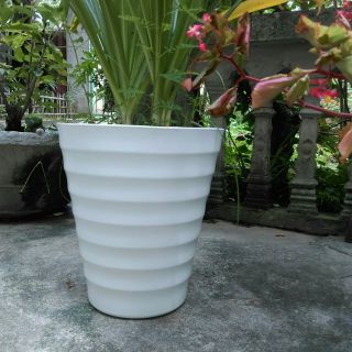 Combo SIÊU HOT 15 chậu nhựa trồng cây gân tròn siêu đẹp cao 30cm