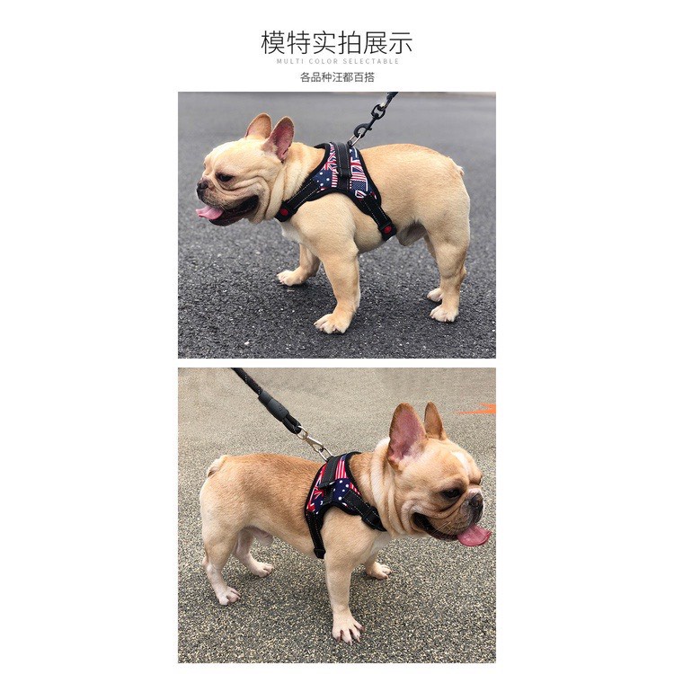 Dây dắt chó to có Đệm Ngực tiện dụng