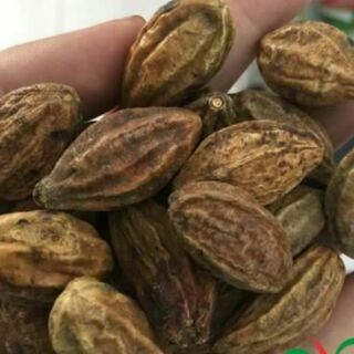 trả giá 90k quả kha tử