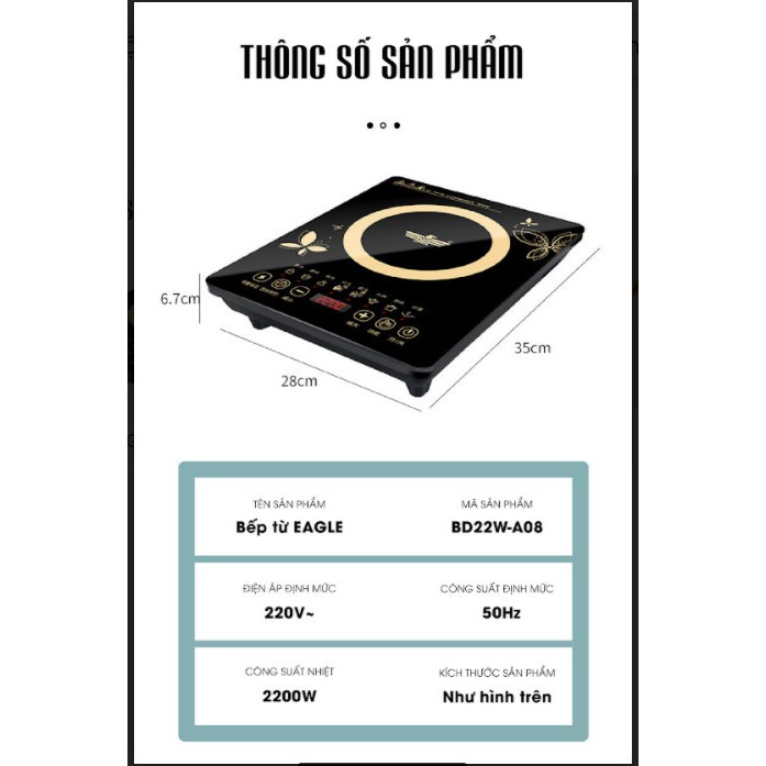 Bếp điện từ cảm ứng EAGLE, hàng chính hãng