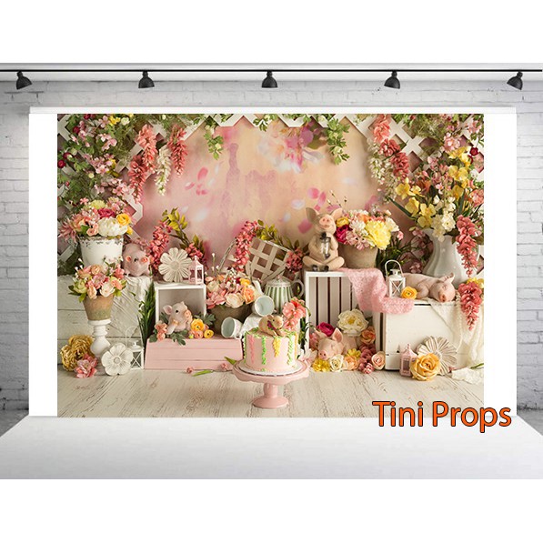 Tranh Canvas 1m5x2m - Phông chụp hình Baby 81