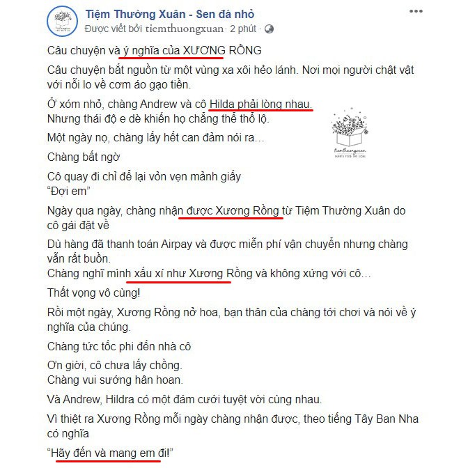Xương rồng, xương rồng tai thỏ, aster, gym, các loại mini trang trí nhà cửa đời sống