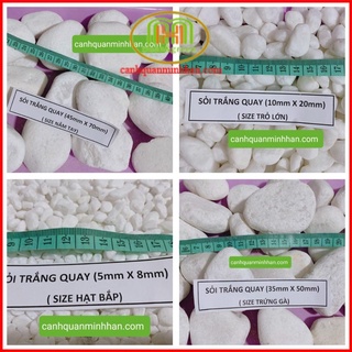Sỏi trắng trang trí 12-13kg lót hồ cá nhiều kích cỡ trang trí lối đi sân vườn những chậu cây cảnh