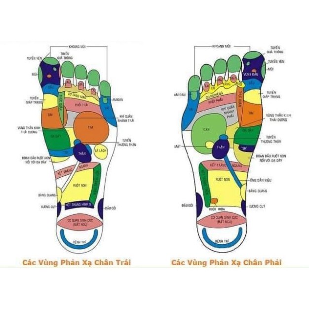 Bách Thọ Khang Ngâm Chân Thư Giãn Phục Hồi Sức Khỏe - Nhất Mộc Hương (Hộp 100g ̣- Sử Dụng 10 Lần)