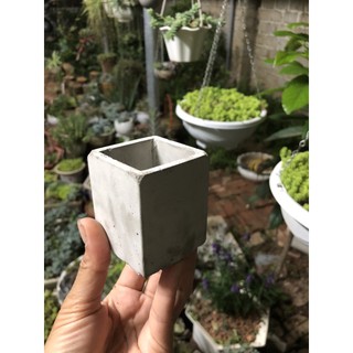 Chậu xi măng mini trồng sen đá