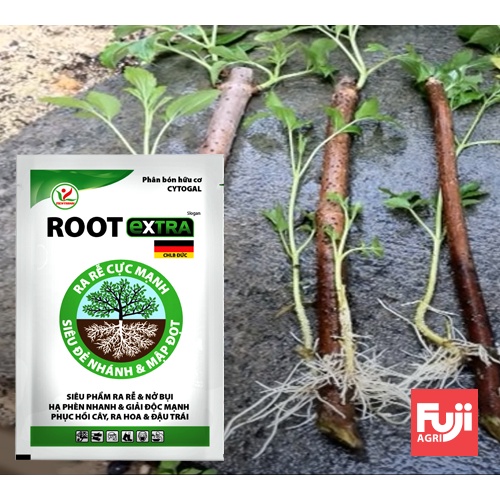 Phân kích rễ ROOT EXTRA ĐỨC 25ml