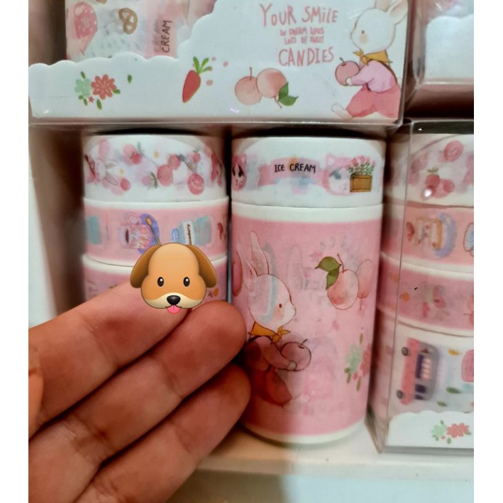 Hộp washitape 6 cuộn, có 1 cuộn khổng lồ chủ đề thỏ-mèo hồng mã Hz5801