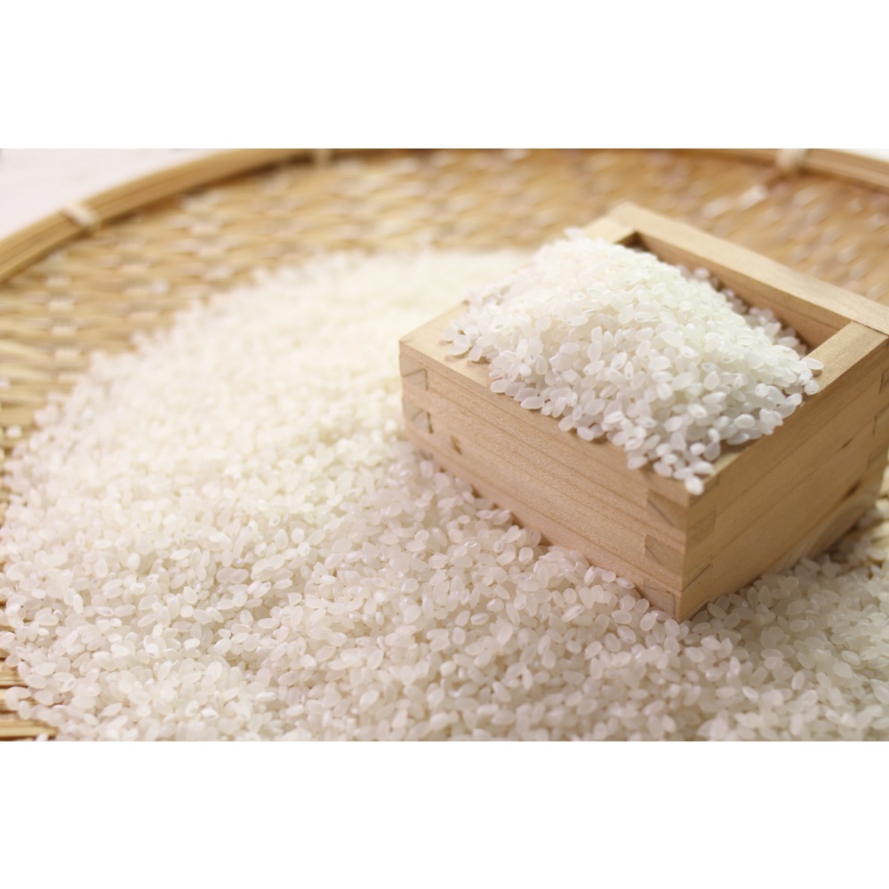 Gạo hữu cơ Nhật Bản xuất khẩu thơm ngon