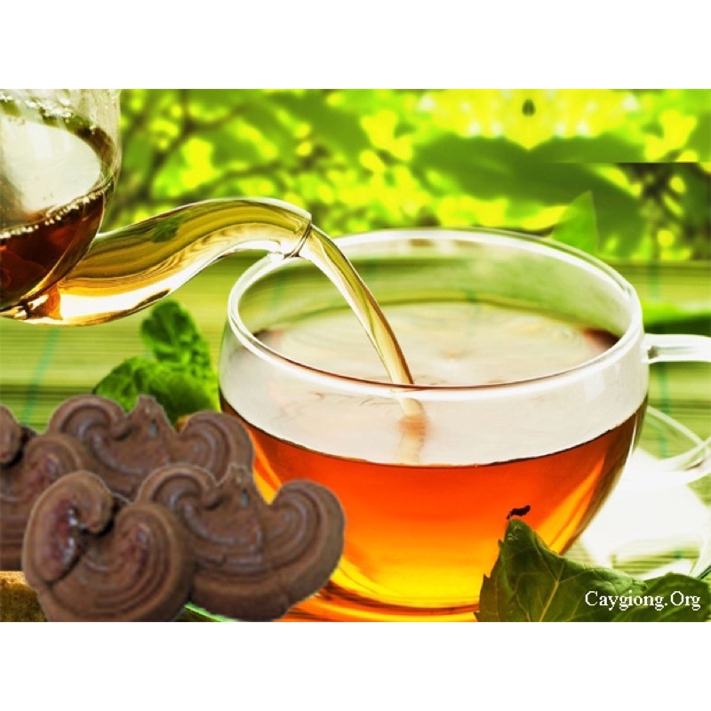 Nấm Linh Chi Thái Lát Hàn Quốc Túi 0,5kg, Date 2025