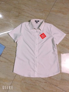 SƠ MI UNI CỘC TAY
