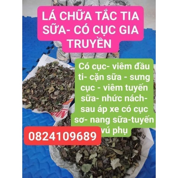 CHỮA TẮC TIA, VIÊM VÚ , TAN CỤC  TRƯỚC SAU ÁP SE