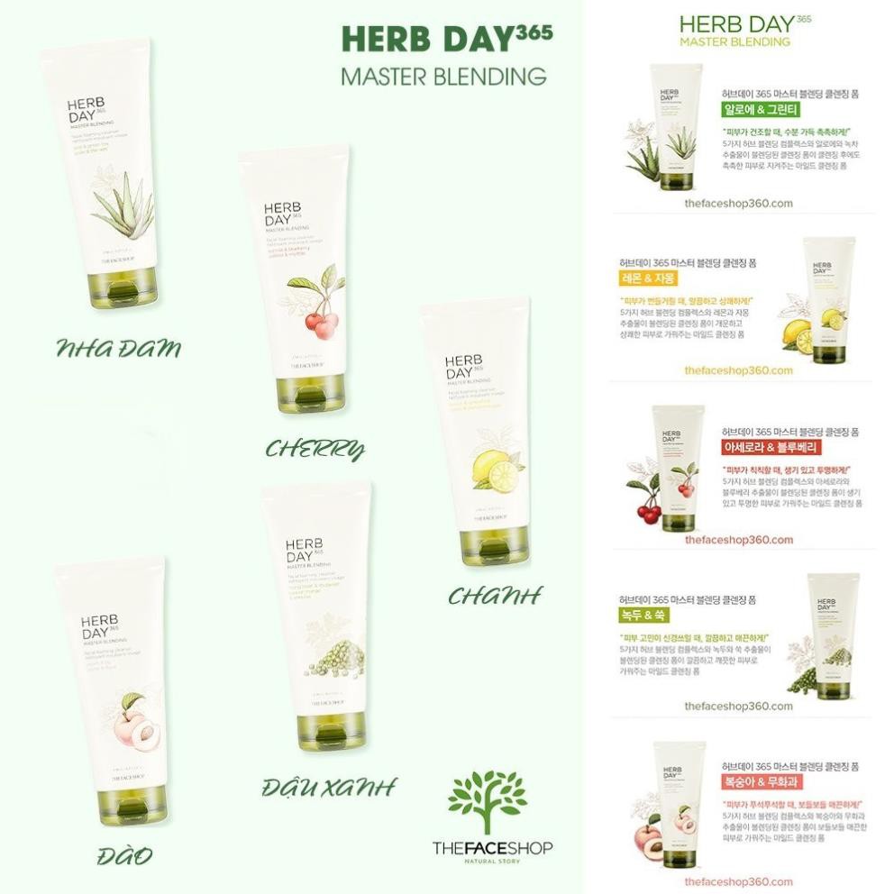 Sữa rửa mặt The Face Shop Herb Day 365 Master Blending Foaming Cleanser 170ml