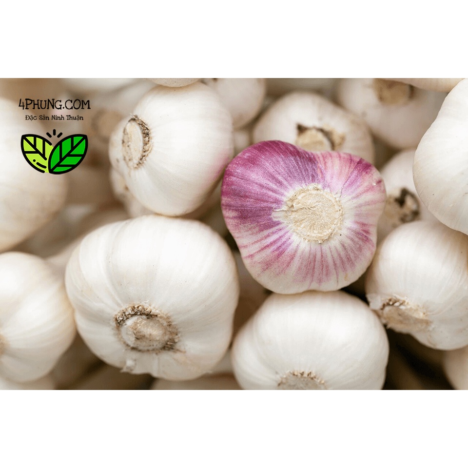 1kg Tỏi Ninh Thuận