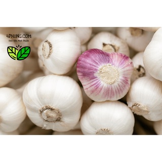 1kg Tỏi Ninh Thuận