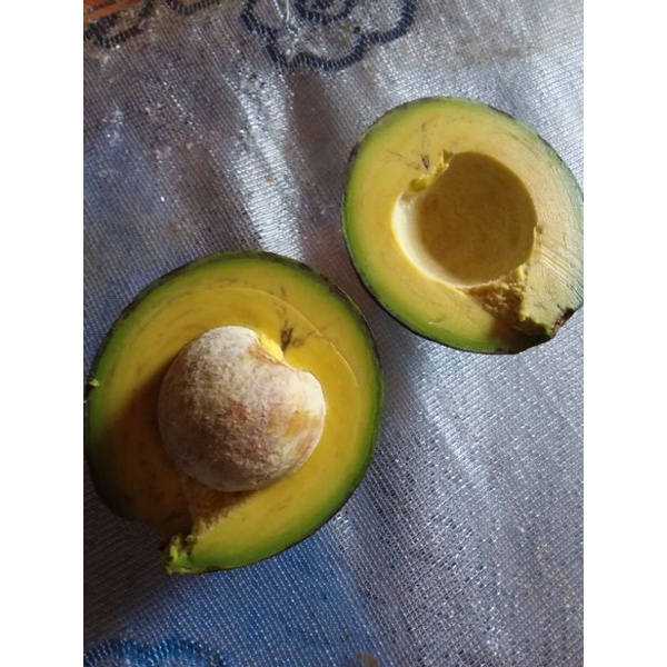 Bơ 034 1kg Đắc lắc #034. Không chuyển phía Nam chỉ thị 16. | BigBuy360 - bigbuy360.vn