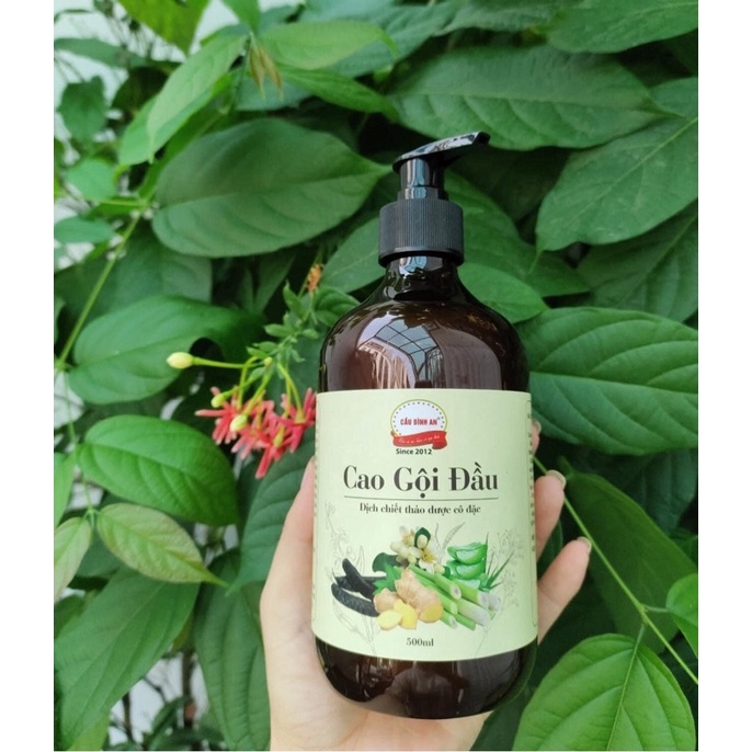 CAO GỘI ĐẦU CẦU BÌNH AN giảm gãy rụng kích mọc tóc