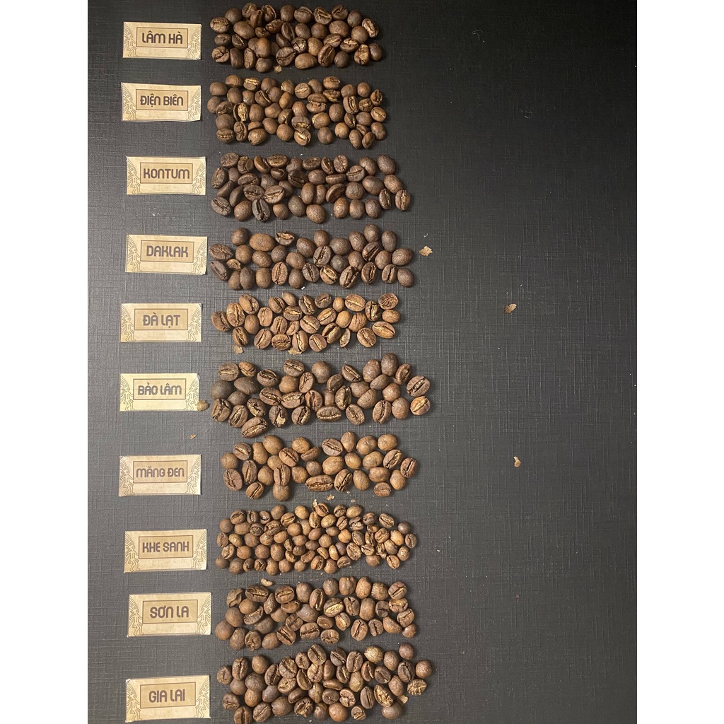 Bộ 10 loại cà phê ngon nhất đến từ 10 vùng nguyên liệu đặc trưng của Việt Nam