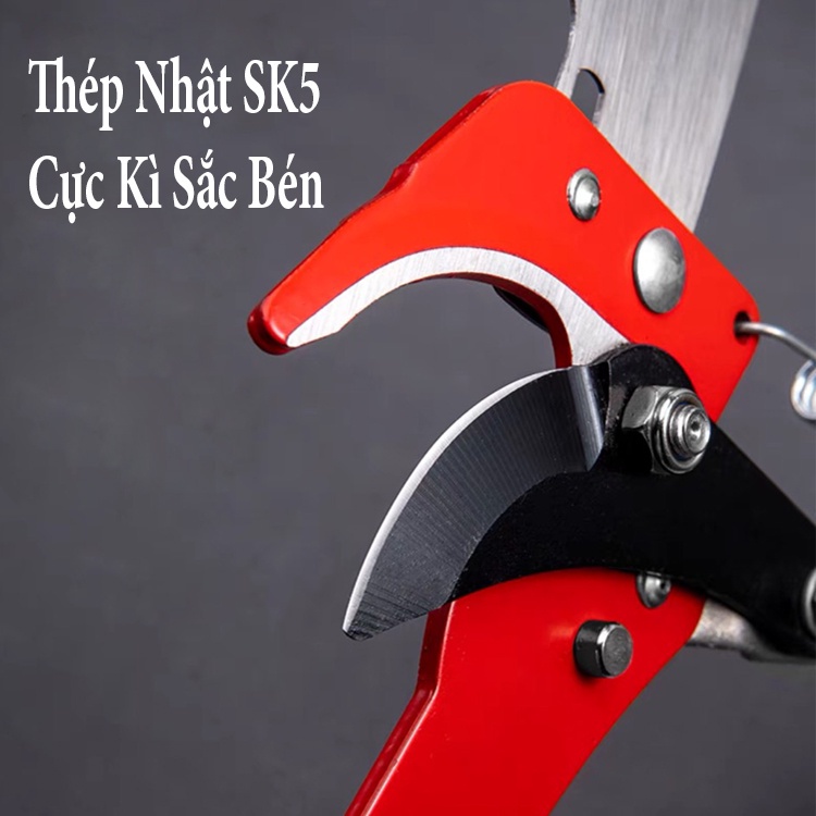 Kéo Cộng Lực Cắt Tỉa Cành Trên Cao Kiểu Dật Dây Dài 5m Kèm Lưỡi Cưa Thép Không Gỉ Cao Cấp Tiện Dụng Chăm Sóc Vườn Cây