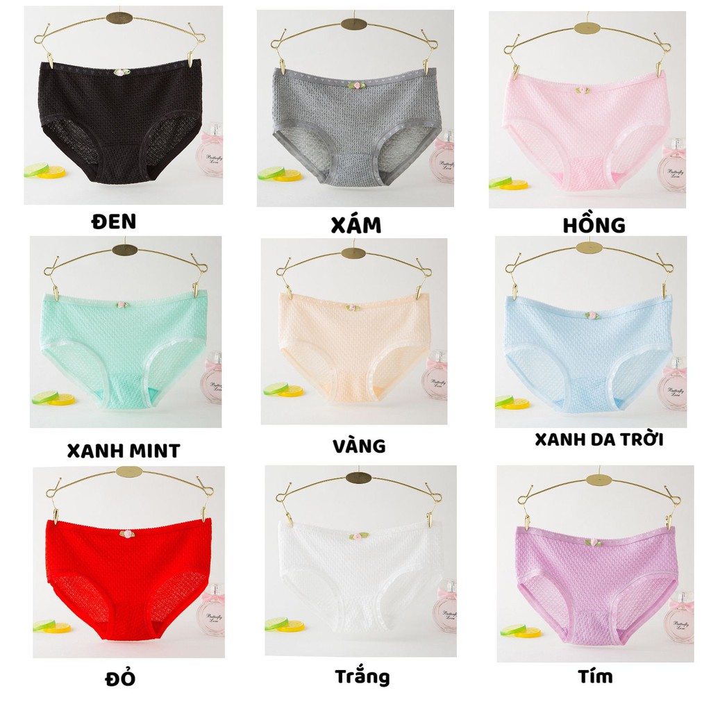 Quần Lót Nữ Cotton thông hơi thoáng mát đính nơ đáng yêu quyến rũ mẫu 9040 | BigBuy360 - bigbuy360.vn