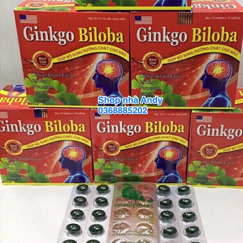 Ginkgo Biloba 240mg Bổ Sung Dưỡng Chất Cho Não Hộp 100 viên