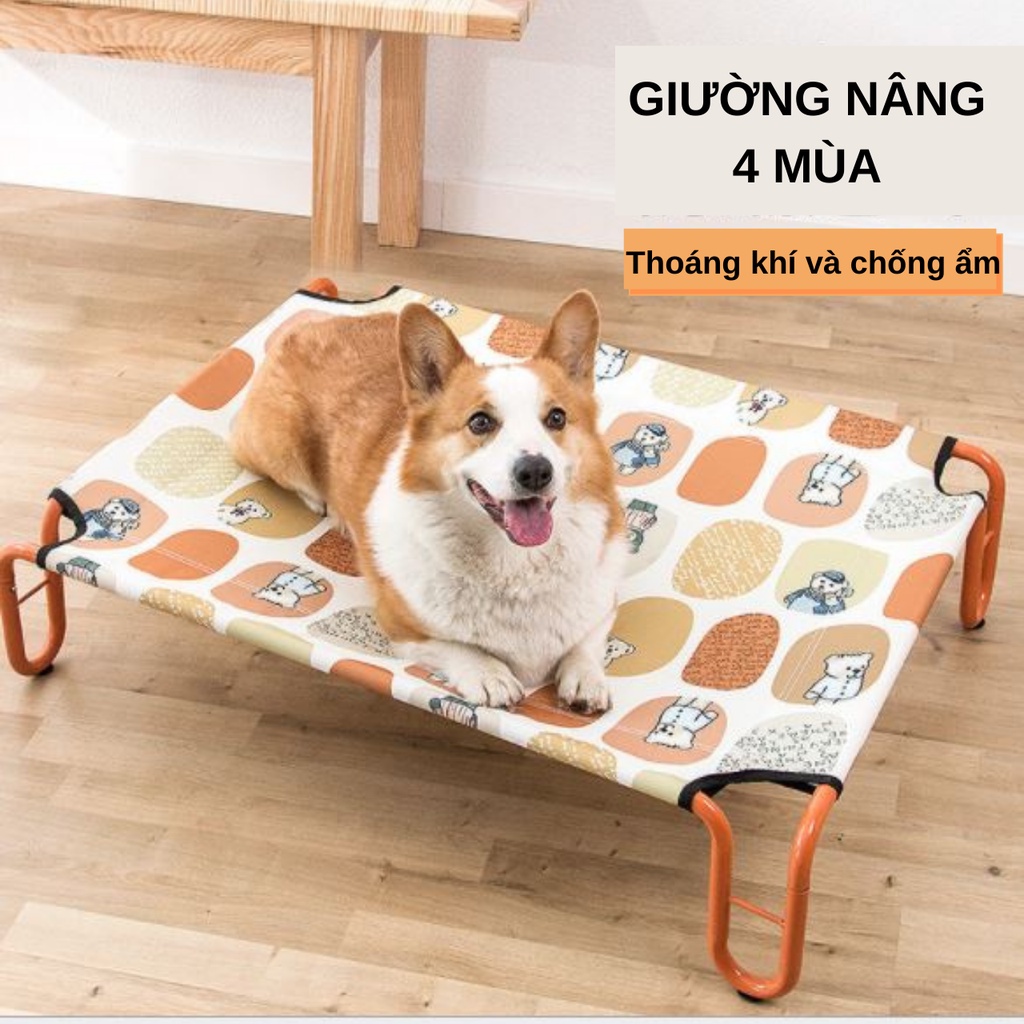 Giường nâng cao cắm trại 4 mùa không bám bẩn, dễ vệ sinh cho chó, mèo / Thú cưng