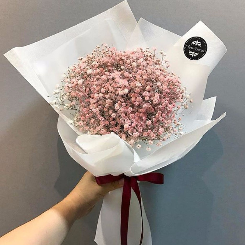 Bán buôn COMBO 2 gói hạt giống hoa Baby hồng TẶNG 1 phân bón bao đẹp