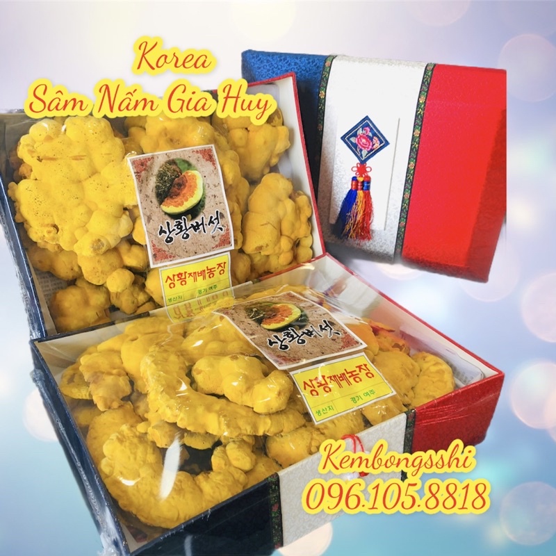 [HÀNG MỚI VỀ] Nấm Thượng Hoàng Hộp Cờ Hàn Quốc, Hộp 500gr